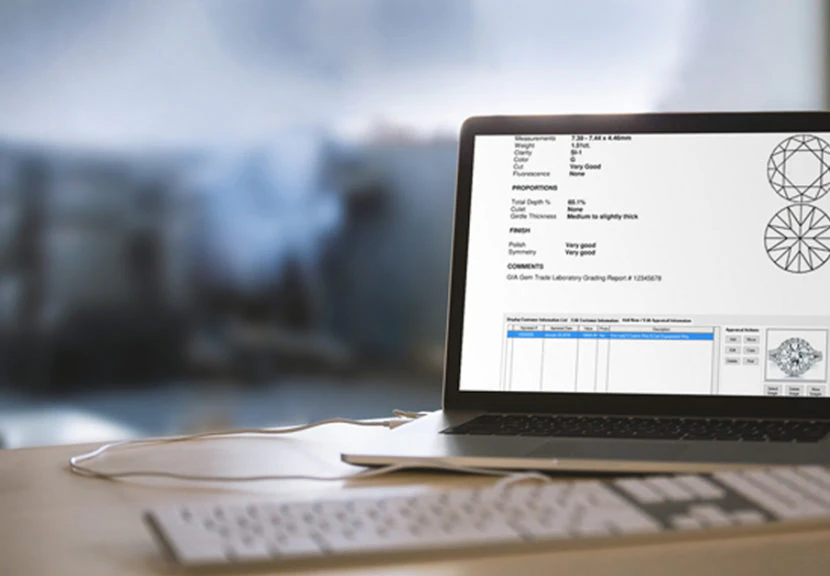 screenshot of GemGuide Appraisal Software
